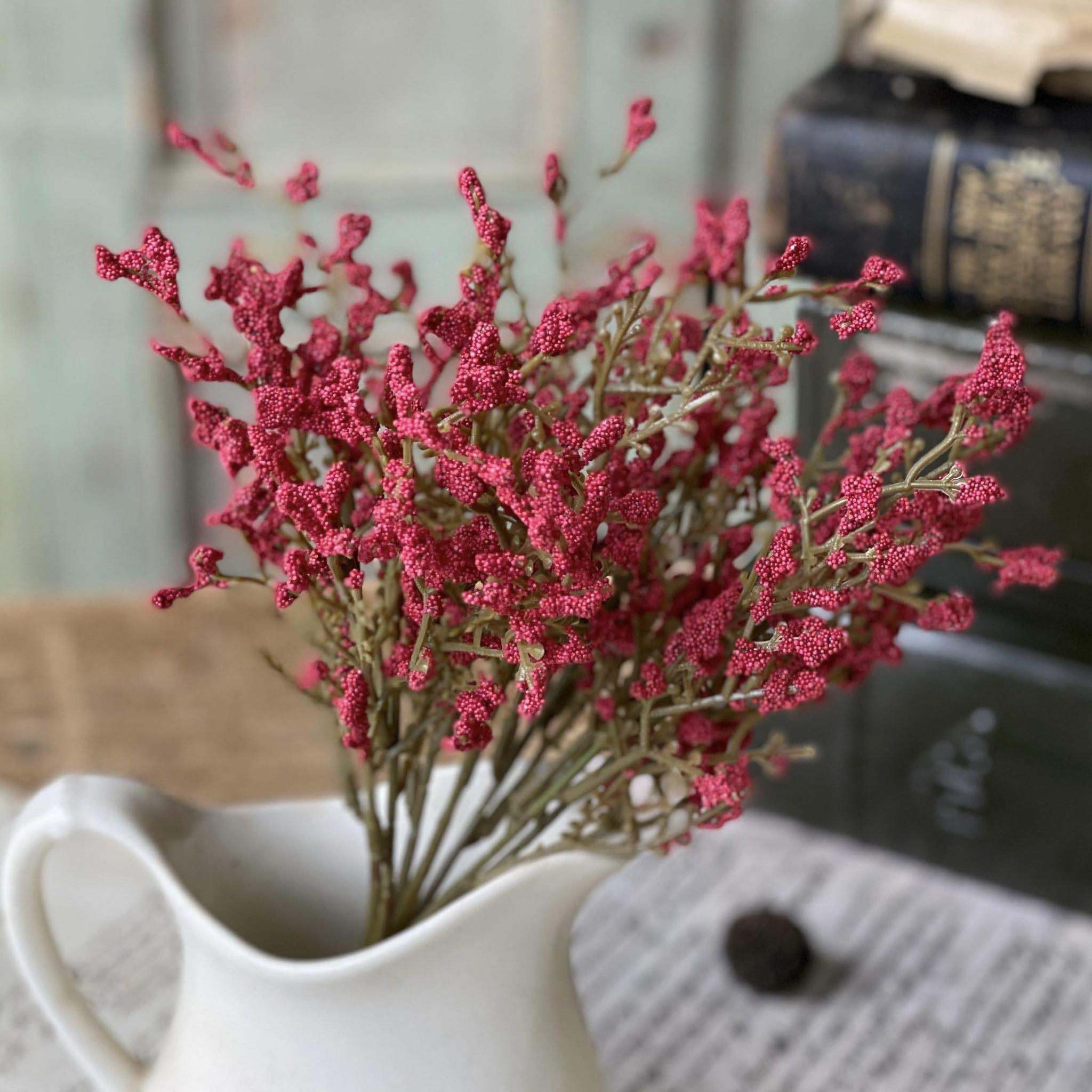 Astilbe Bush